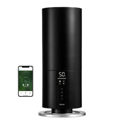 Beam Mini 2