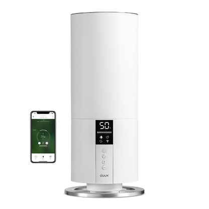 Beam Mini 2